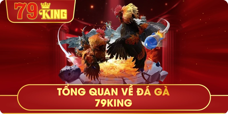 Tổng Quan Về Đá Gà 79King
